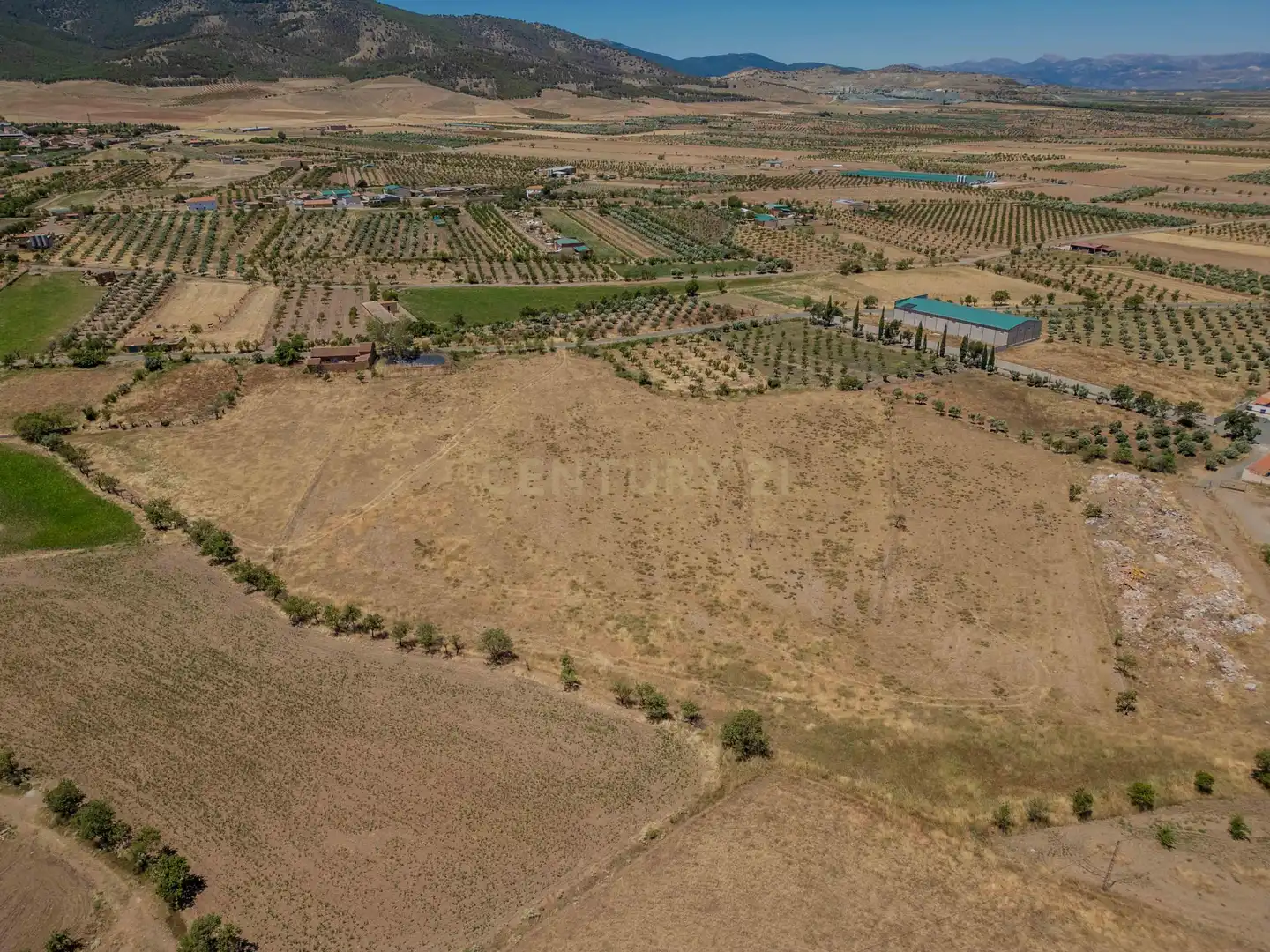 Terreno en venta en Cogollos de Guadix