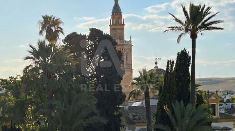 Foto 2 de Piso en venta en Écija, Sevilla