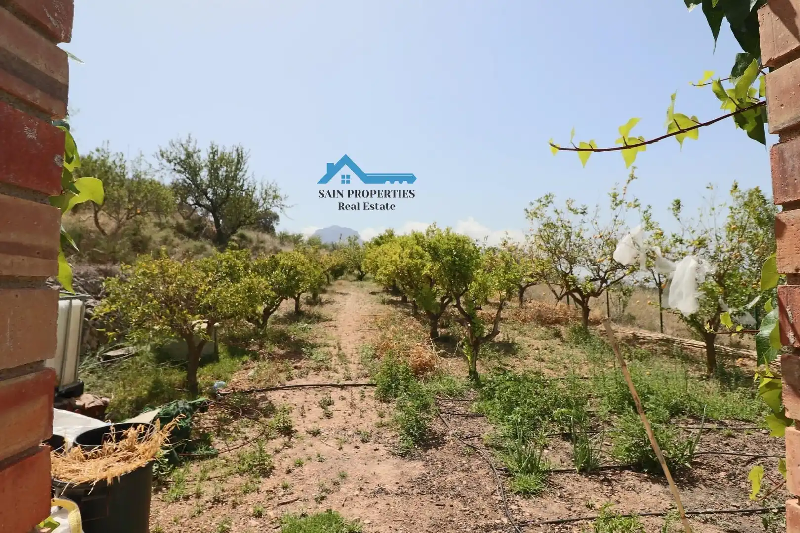 Finca rústica en venda en Tàrbena amb Jardí privat, Terrassa i Traster