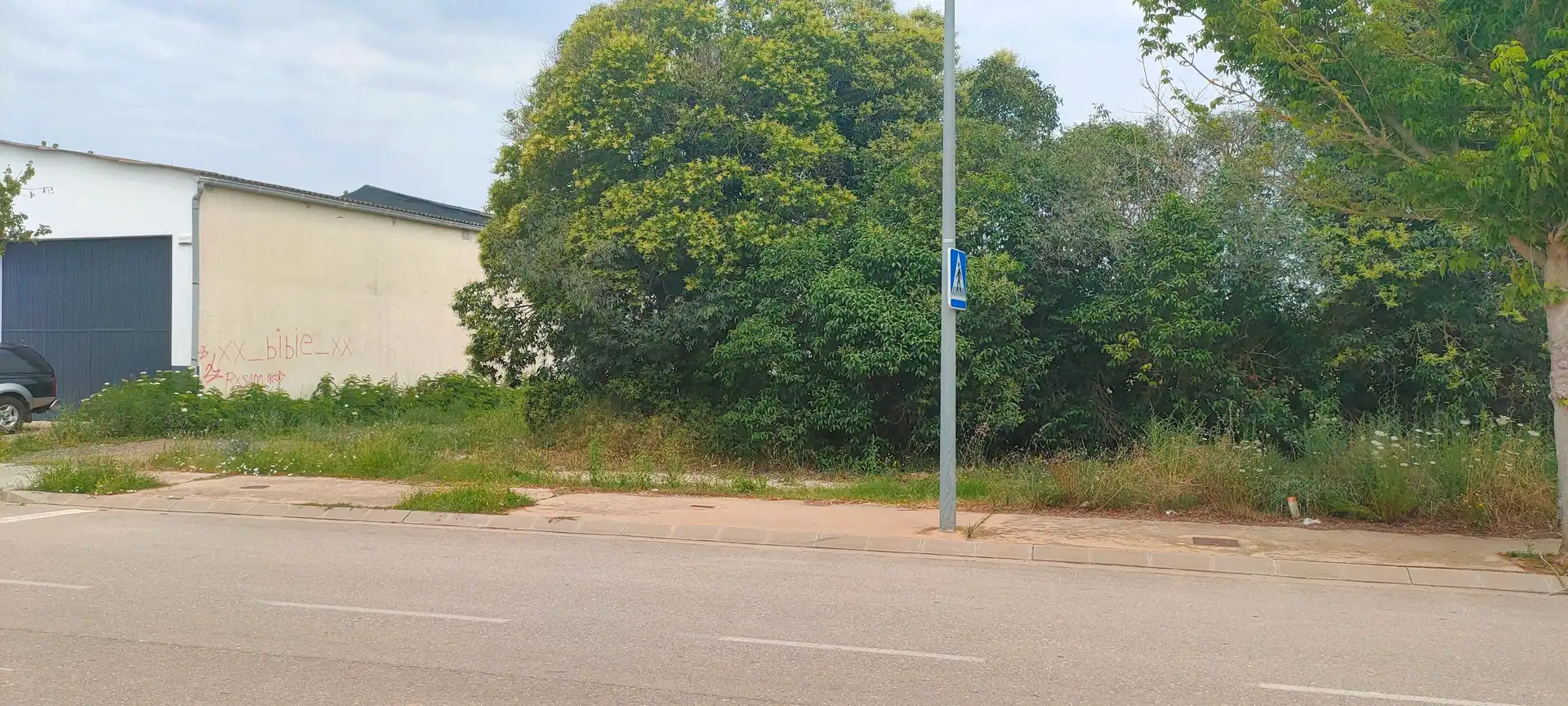 Terreny industrial en venda a Torroella de Montgrí