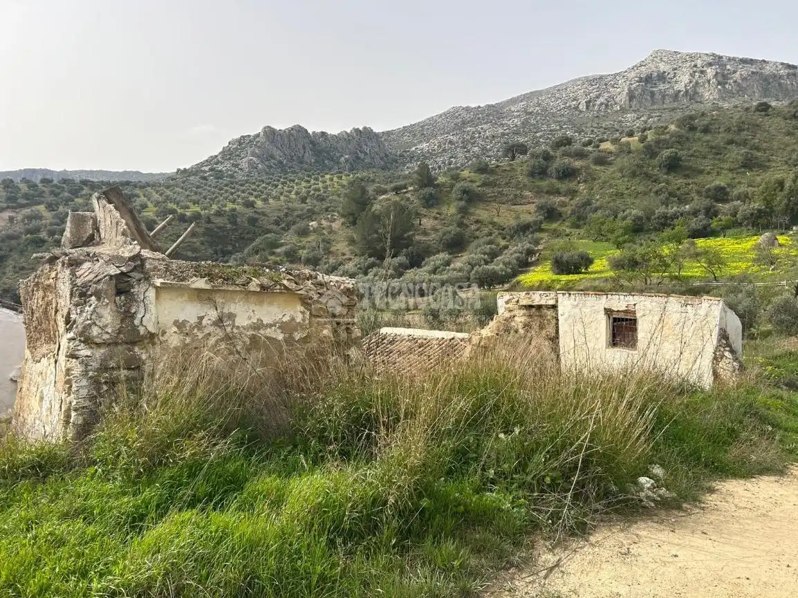 Finca rústica en venta en Antequera