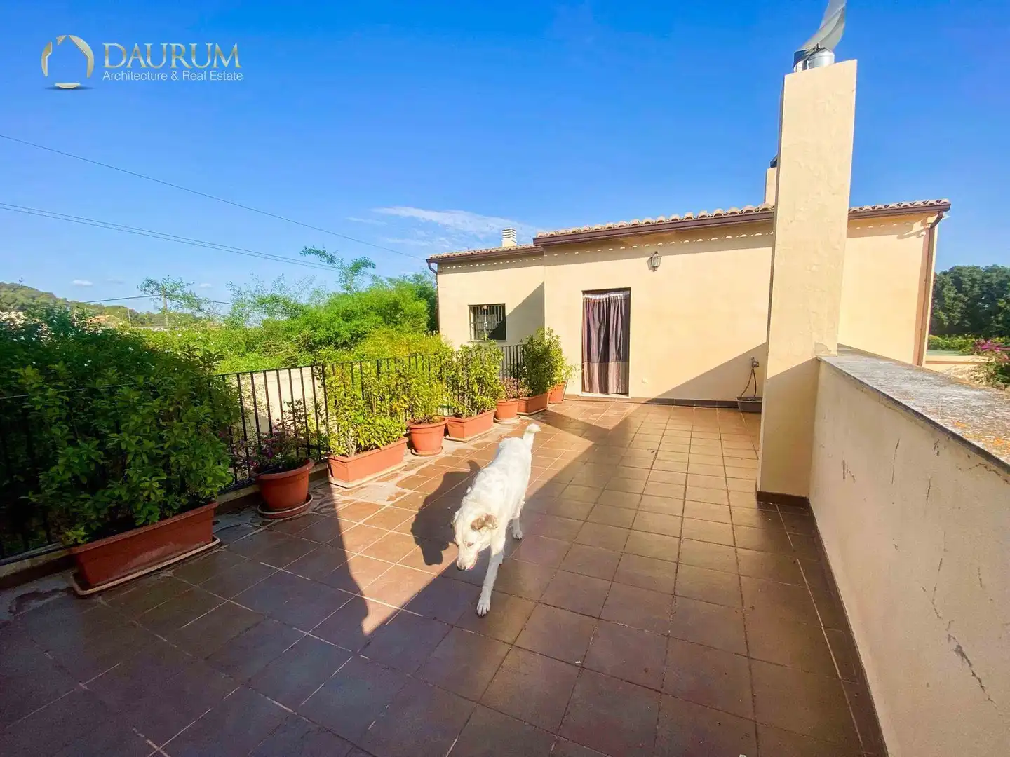 Villa con piscina in vendita a PARTIDA DE VILELLA, imagen 29