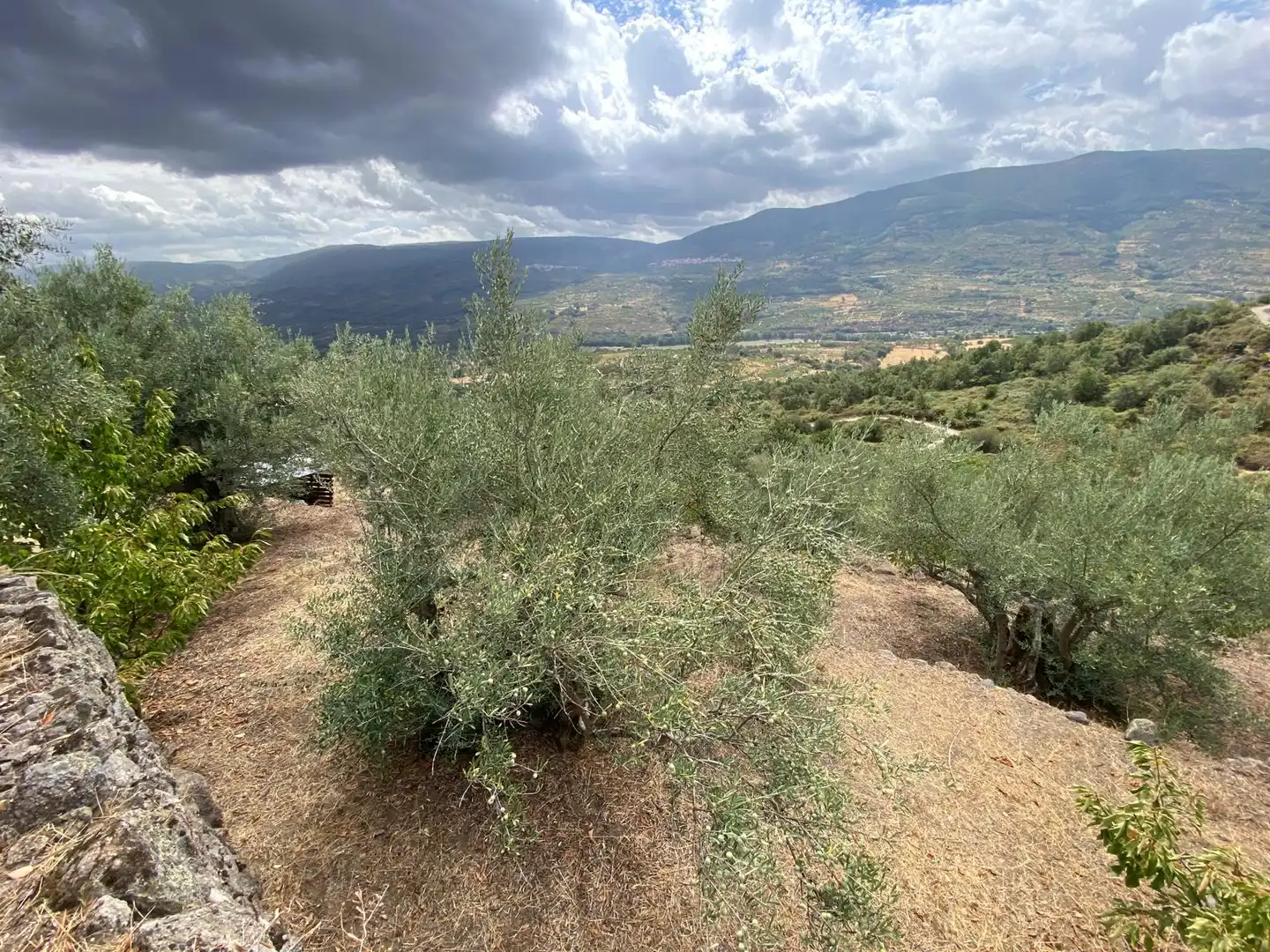 Terrain rustique à vendre à N/A, imagen 11