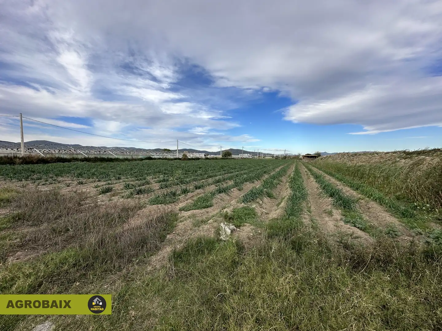 Rural land for sale in Torrent Ballester, imagen 8