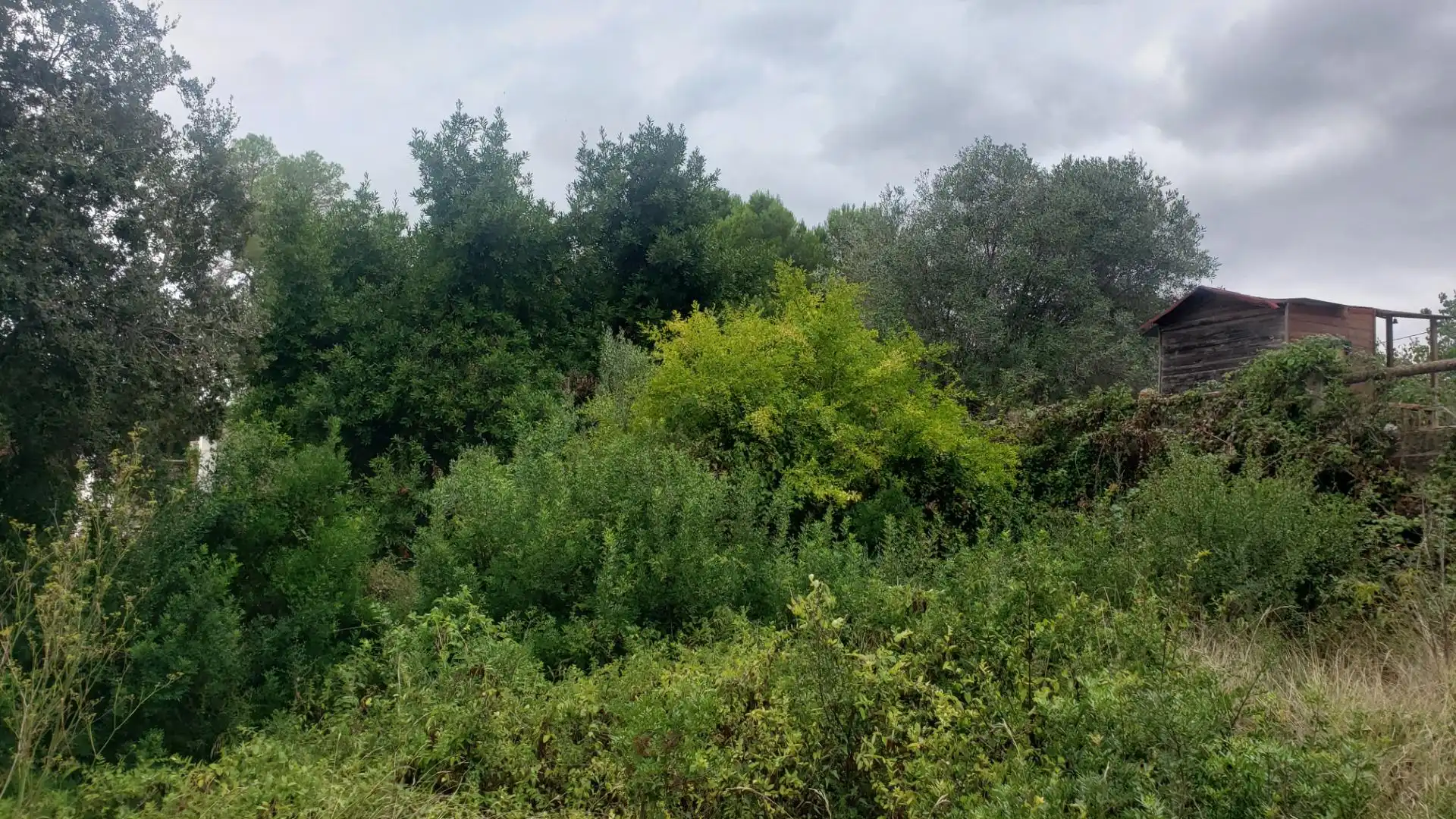 Residential land for sale in Calle dels Almogavers 6, imagen 18