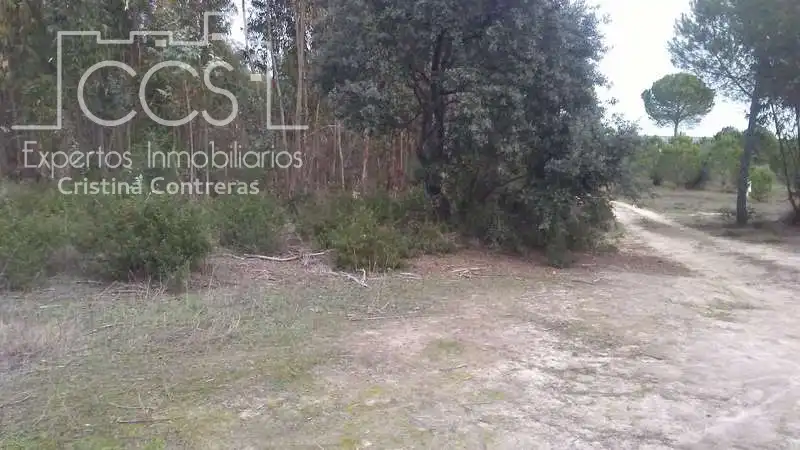Terreny rústic en venda a Almonte ciudad, imagen 20