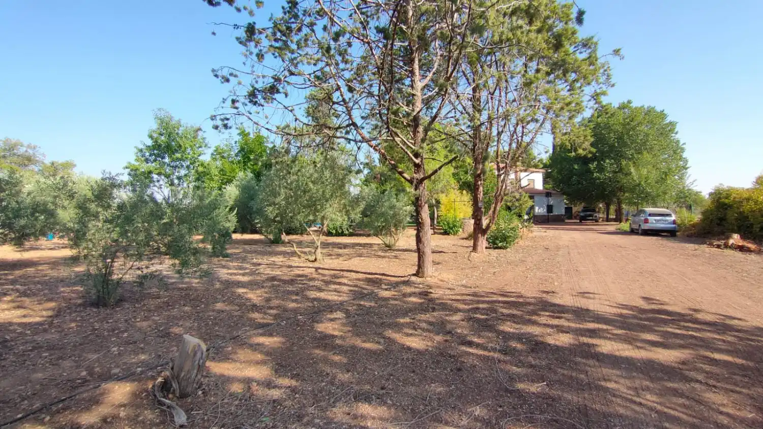 Casa rústica en venda a Valdepeñas, imagen 72