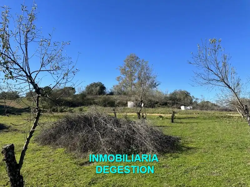 Terreni e lotti in vendita a Andújar, imagen 17