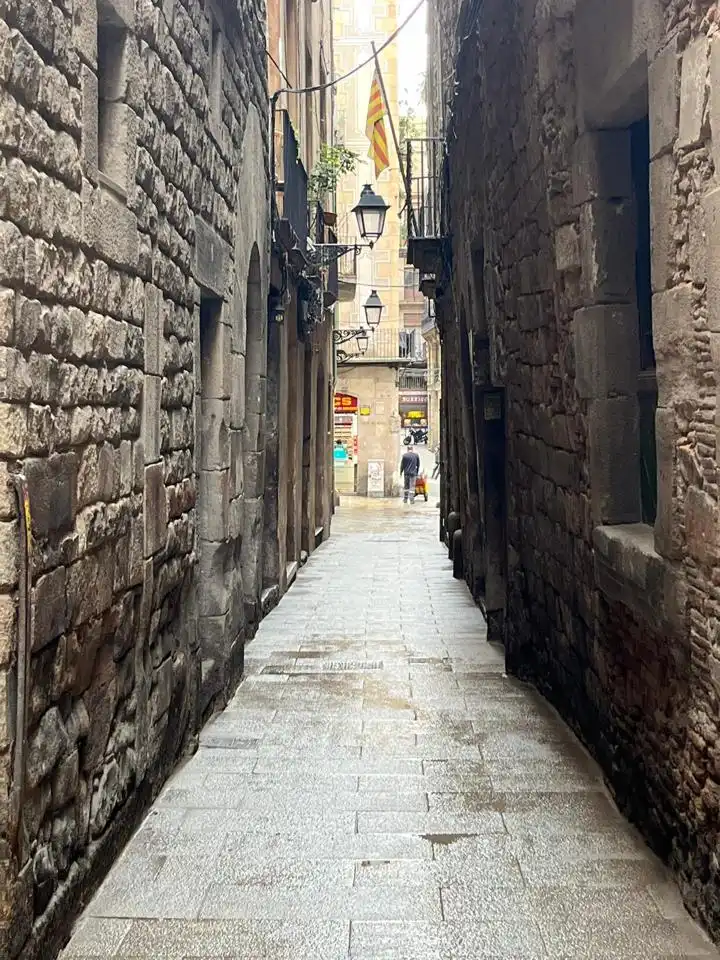 Local comercial en venta en Ciutat Vella, imagen 8