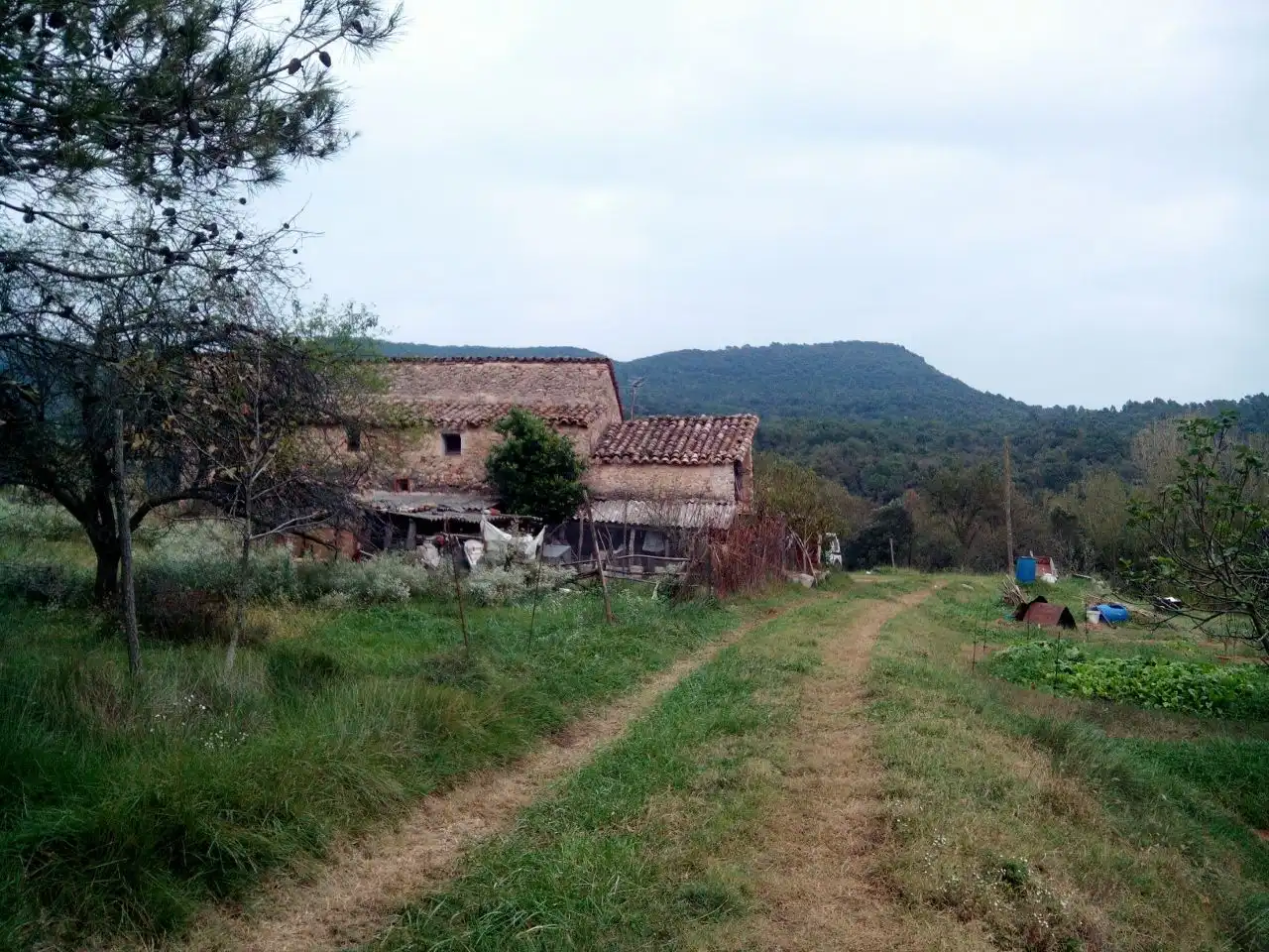 Landhaus mit Garten zum Verkauf in Amer, imagen 29