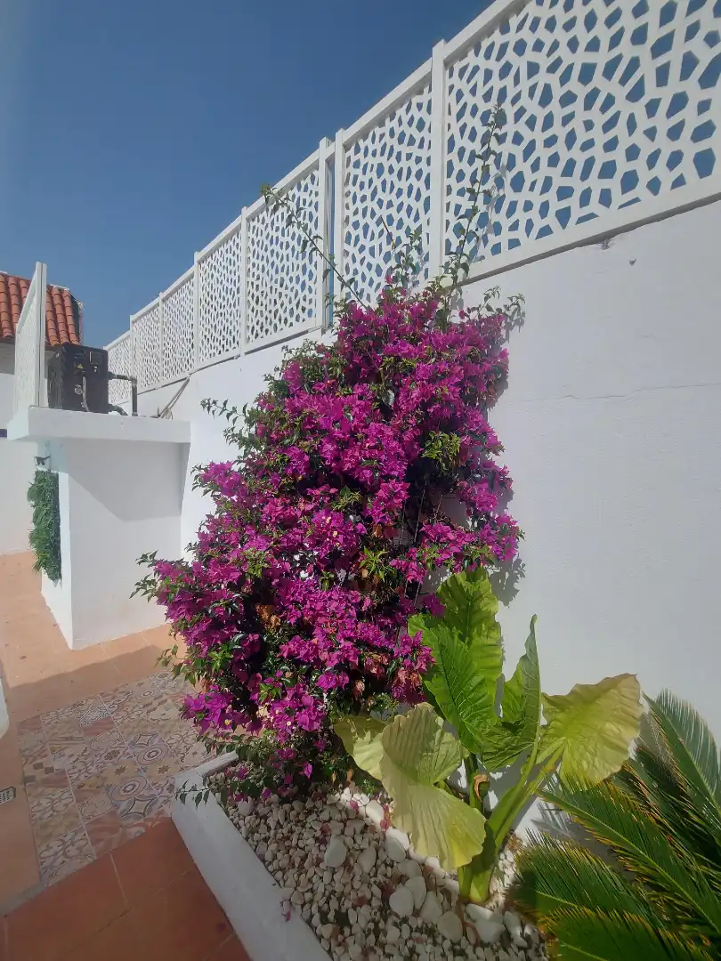 Jardí de Casa adosada de lloguer en San Bartolomé de Tirajana amb Aire condicionat, Jardí privat i Terrassa