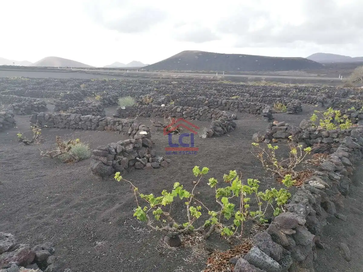 Terreno en venta en Yaiza
