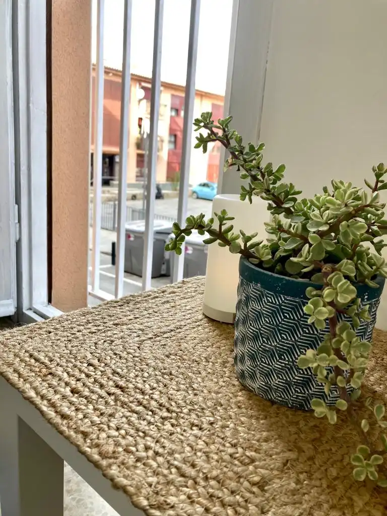Flat for rent in Carrer de las Navas de Tolosa, Zona Nord