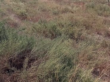 Terreny residencial en venda a Torrellano