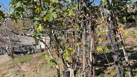 Photo 4 of Country house for sale in Pontons, Barcelona