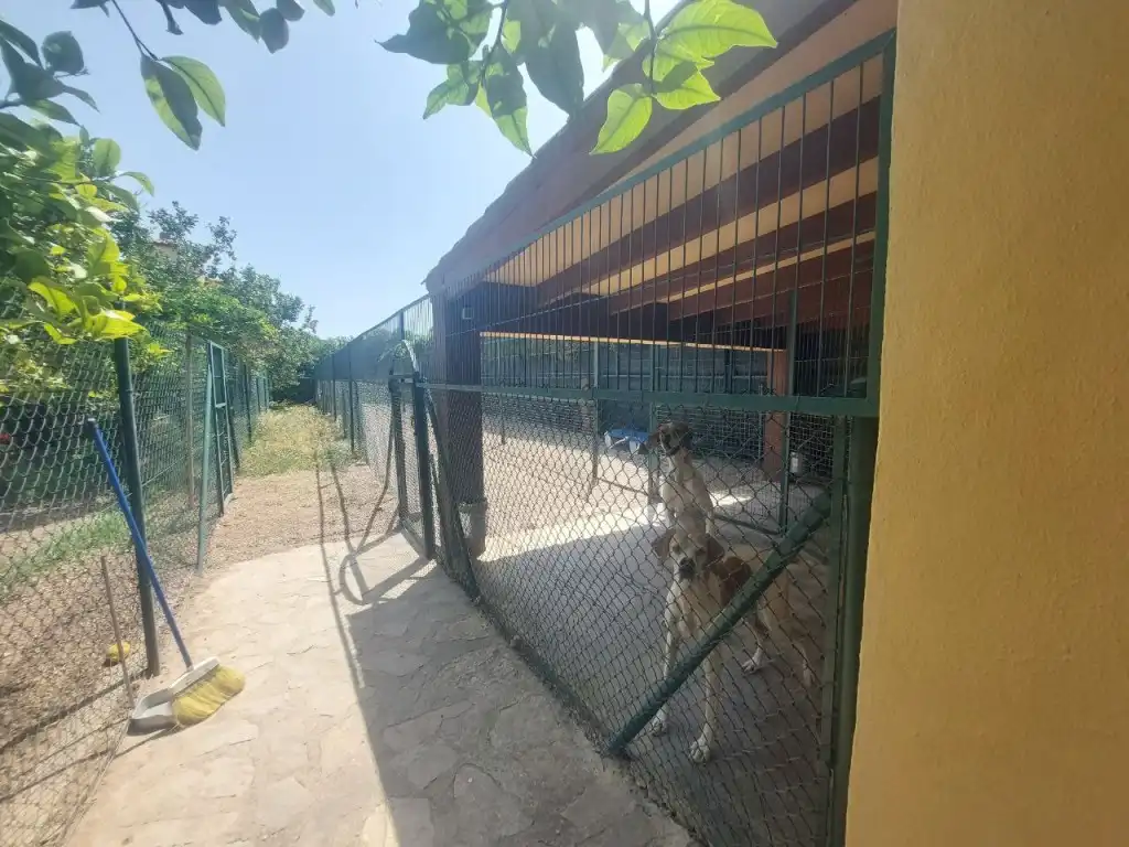 Casa con terraza en venta en Pueblo - Urbanizaciones, imagen 14