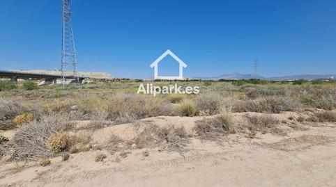 Photo 4 of Land for sale in Partida la Cañada, Cañada del Fenollar, Alicante