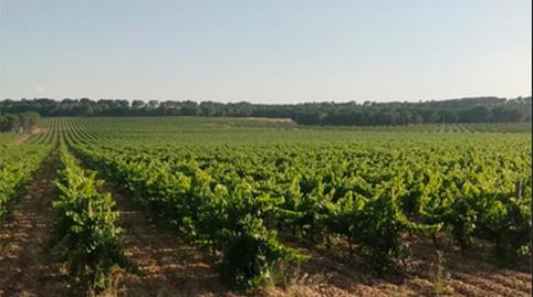 Foto 3 von Residential zum Verkauf in Calle Polígono 1 Parcela 39 Hondo del Rio. Montalv, 39, Montalvos, Albacete