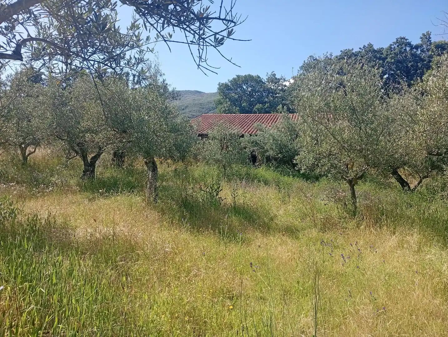 Maison à vendre à Villanueva de la Vera, imagen 42