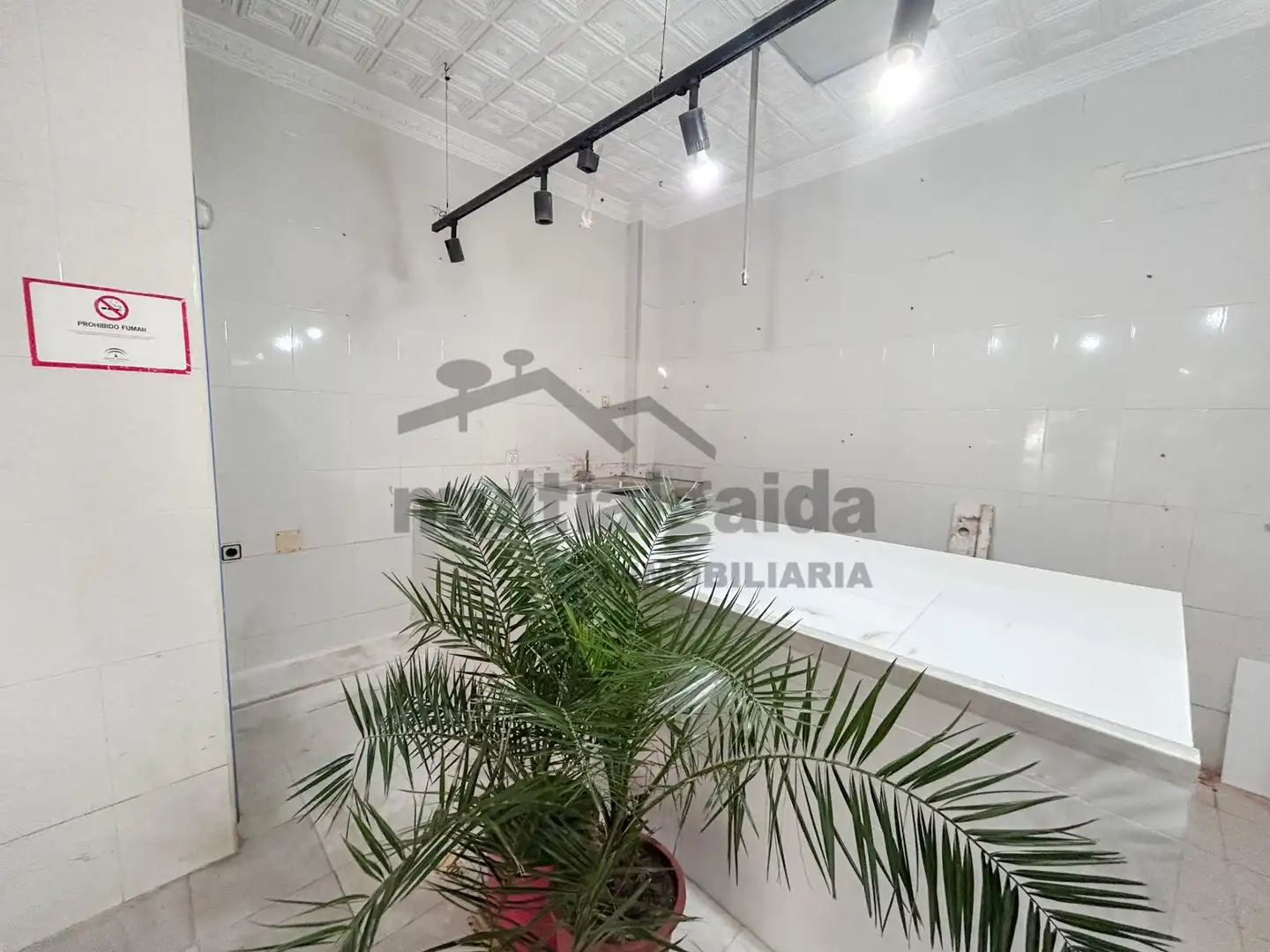 Commercial properties for sale in Jerez de la Frontera