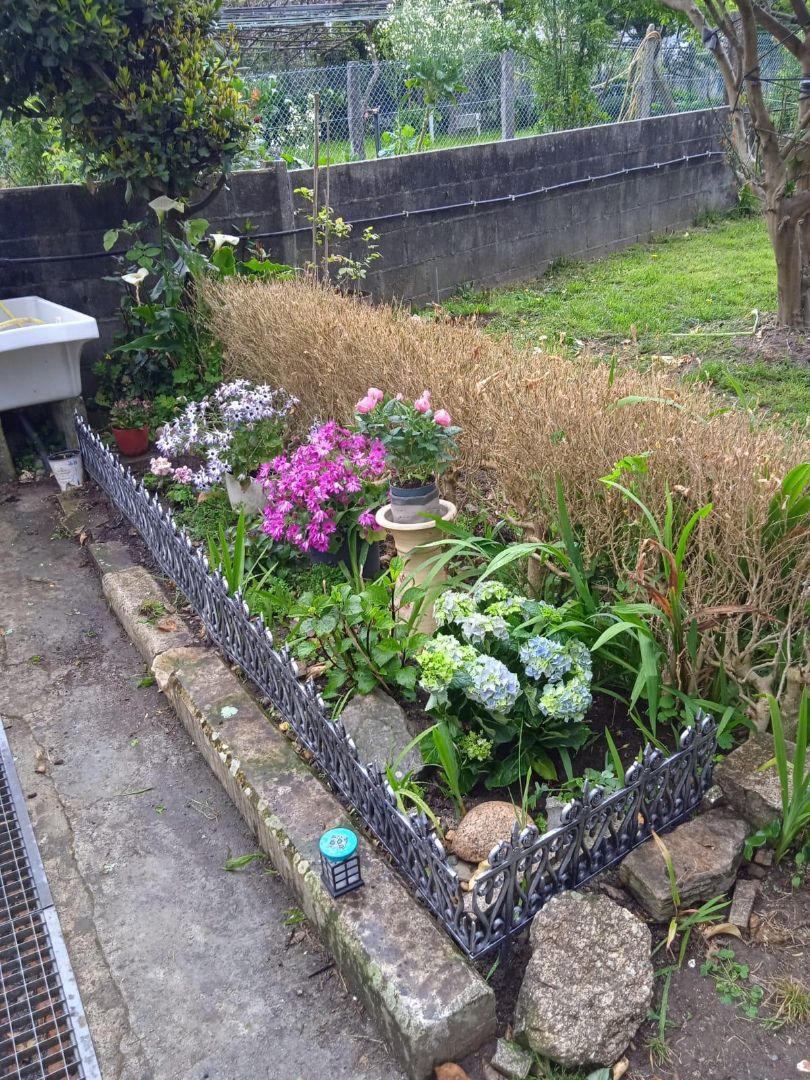 Garden of Flat to rent in Santiago de Compostela   with Furnished