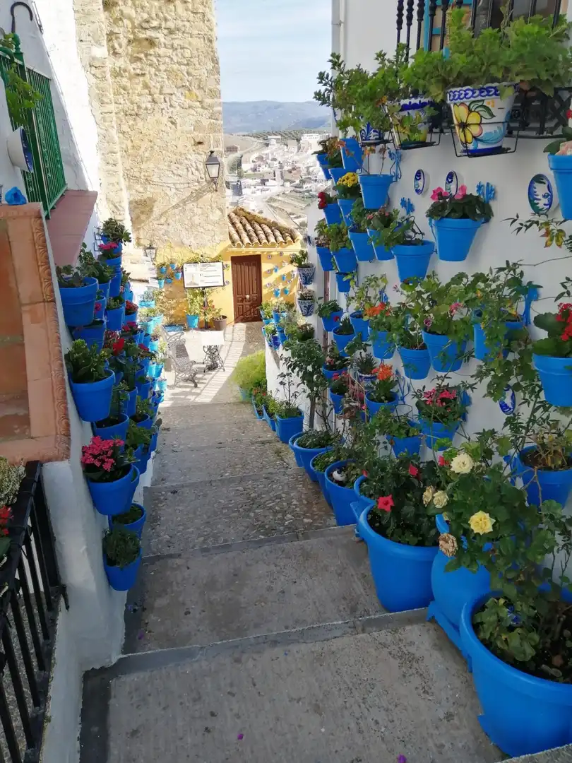 Country homes for sale in Iznájar