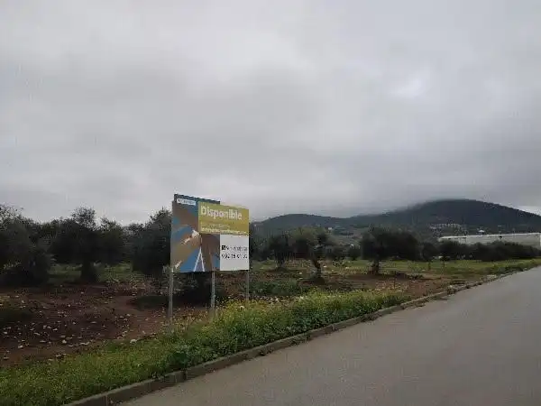 Rustikales Grundstück zum Verkauf in Puerto Serrano, imagen 15