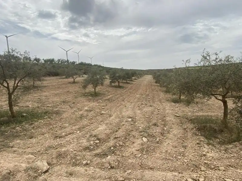 Casa rústica en venda a Padul, imagen 6