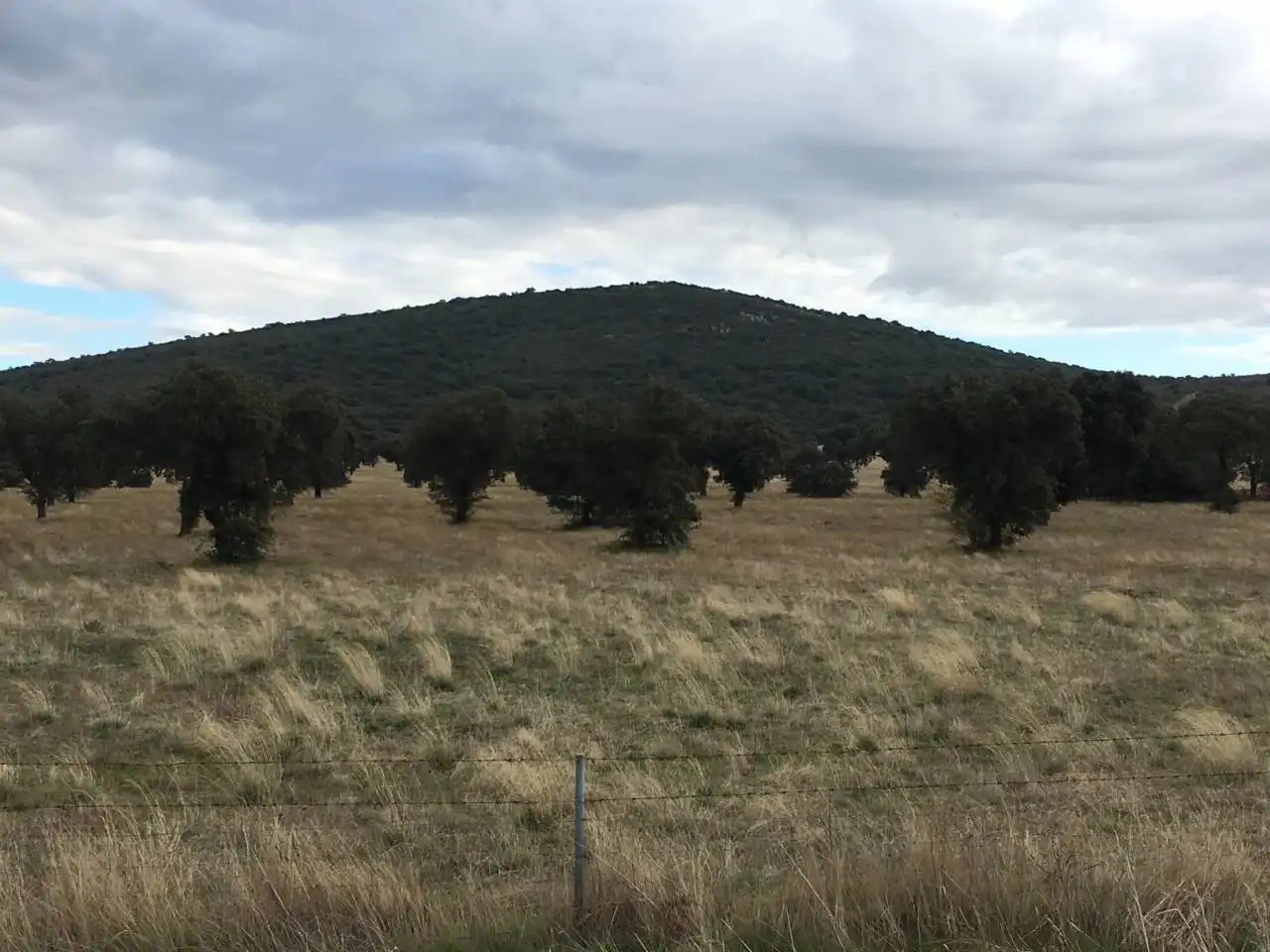 Terreny rústic en venda a Carretera  PERALEDA DEL ZAUCEJO, imagen 4