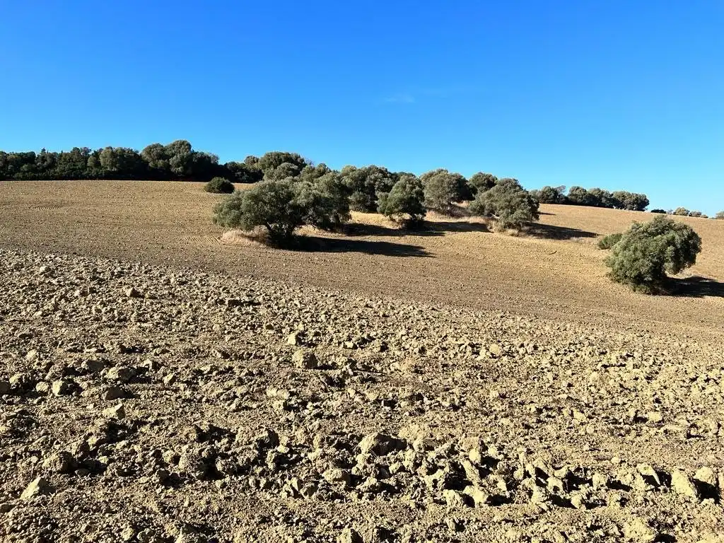 Casa rústica en venda a Vejer, imagen 13