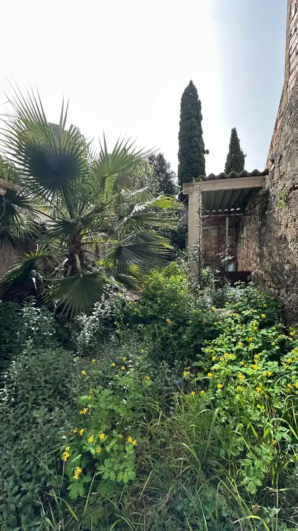 Jardí de Casa o xalet en venda en Sant Mateu amb Jardí privat, Terrassa i Moblat