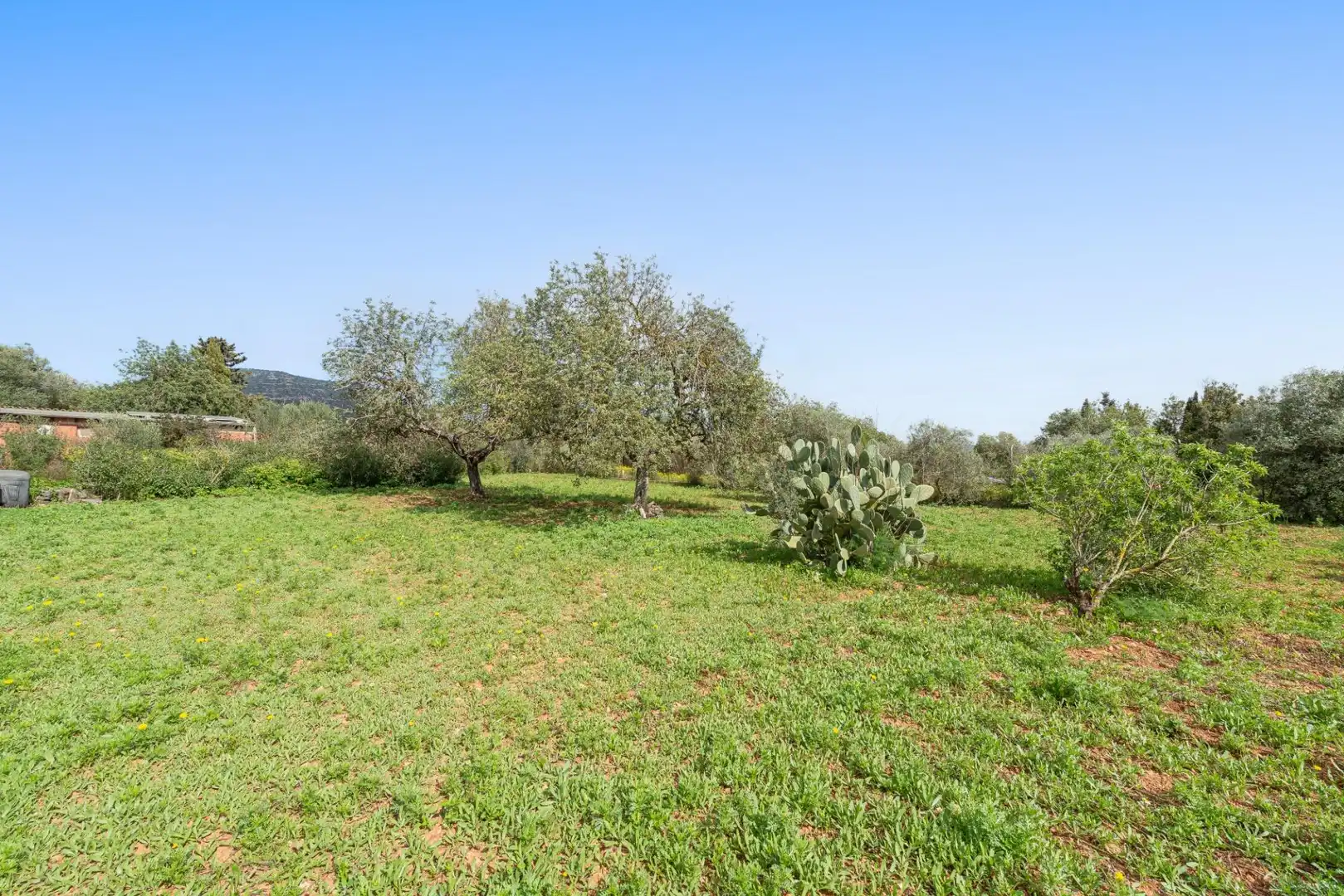 Casa o chalet en venta en Llucmajor con Jardín privado y Trastero