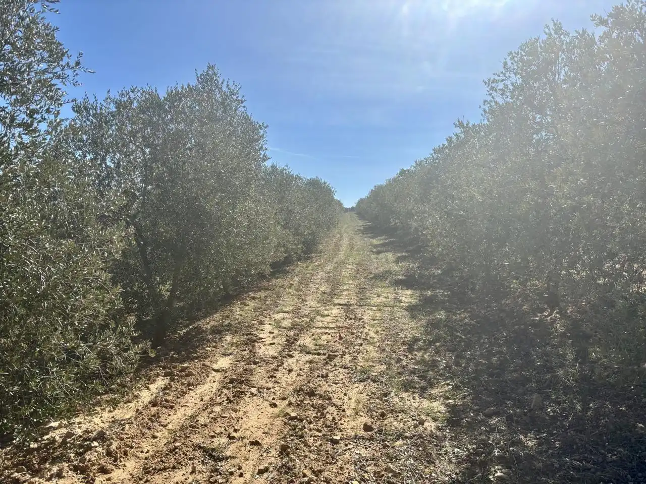 Terreno en venta en Solivella