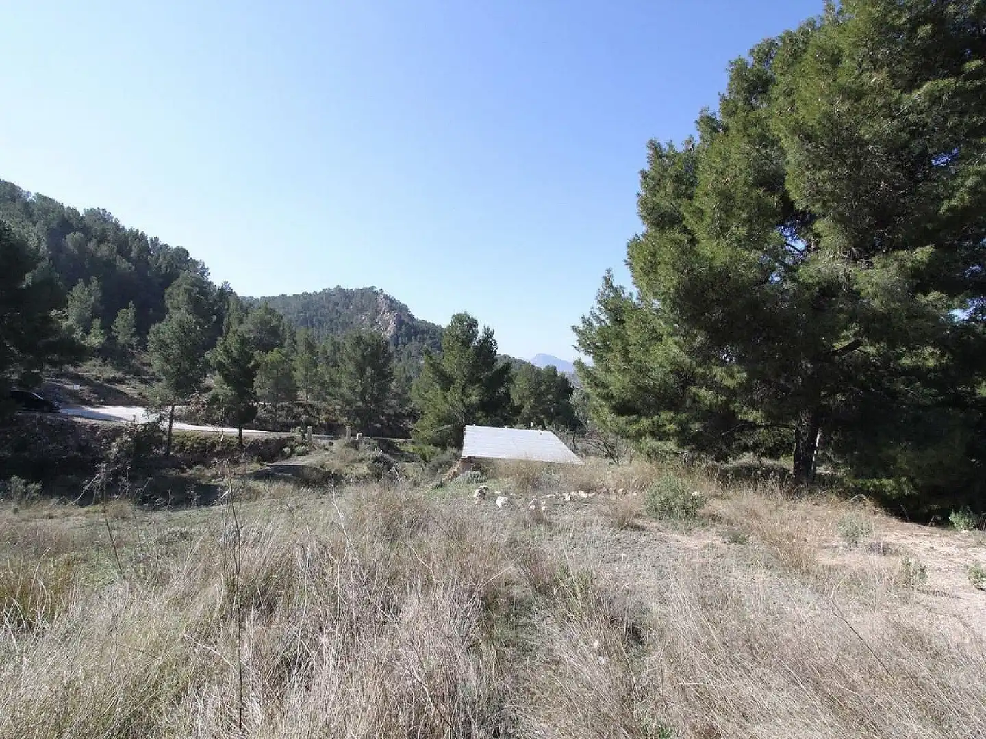 Chalet en venta en Petrer, imagen 18