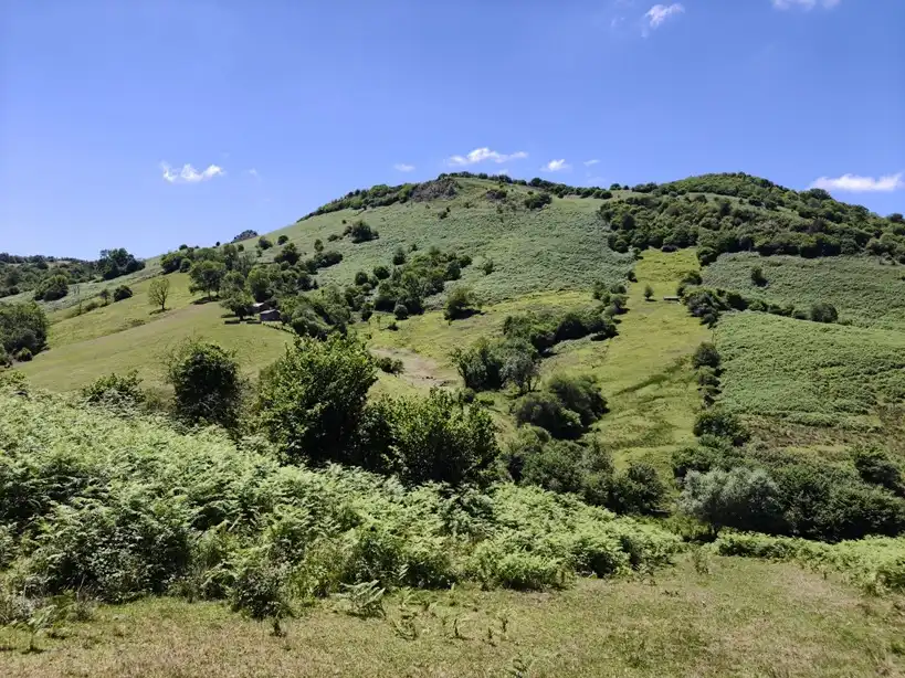 Terreno rustico in vendita a Proaza, imagen 41