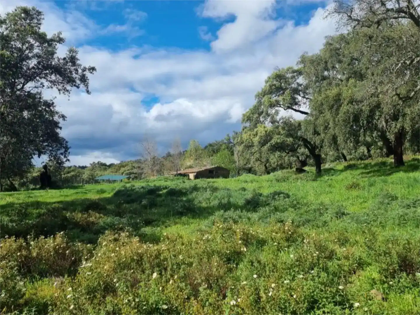 Country house zur Miete in Cortegana mit Privatgarten, Schwimmbad und Möbliert