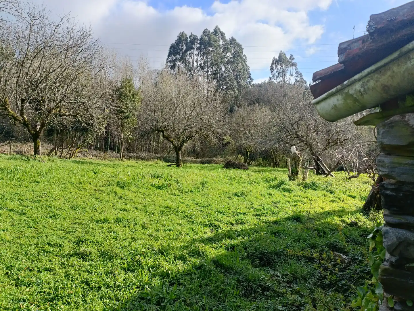 Casa o xalet en venda en Cesuras amb Jardí privat