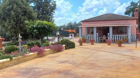 Foto 4 de Finca rústica en venda a Camino del Asno, Pedro Abad, Córdoba