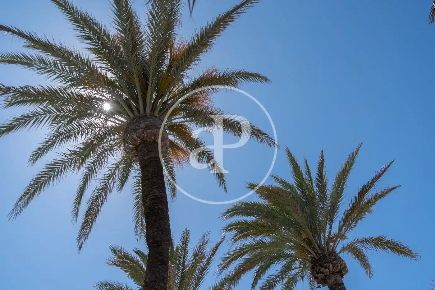 Exterior view of Flat for sale in  Palma de Mallorca  with Air Conditioner, Heating and Terrace