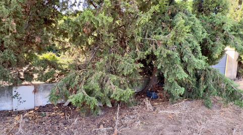 Foto 4 de Residencial en venda a Conil, Cádiz