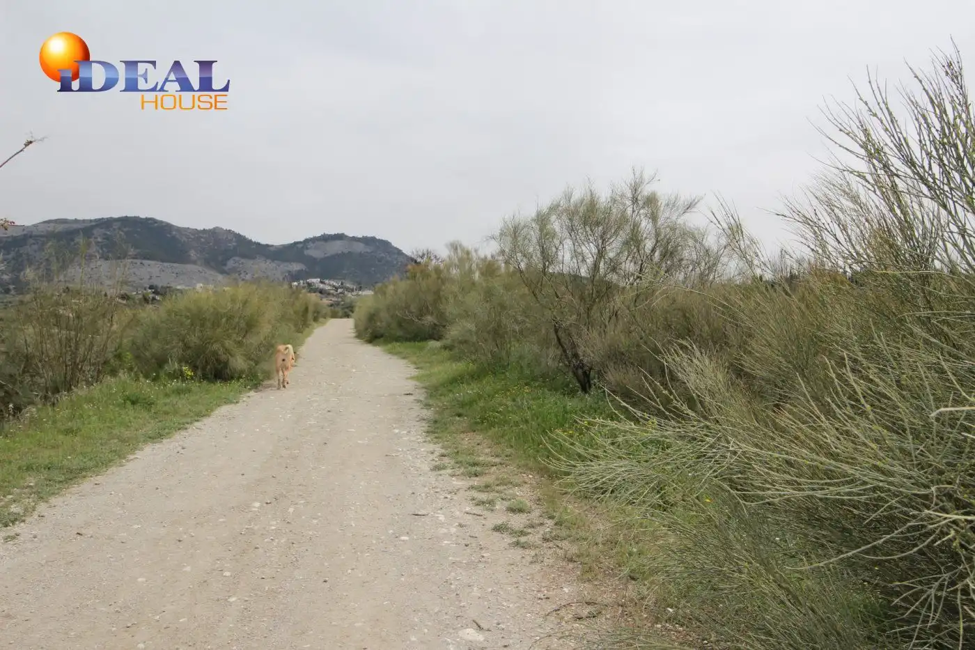 Country homes for sale in Víznar