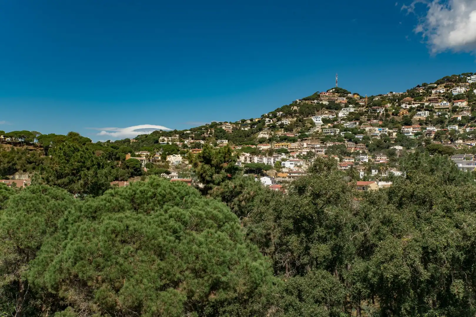 Villa con terrazza in vendita a Montgoda, imagen 15