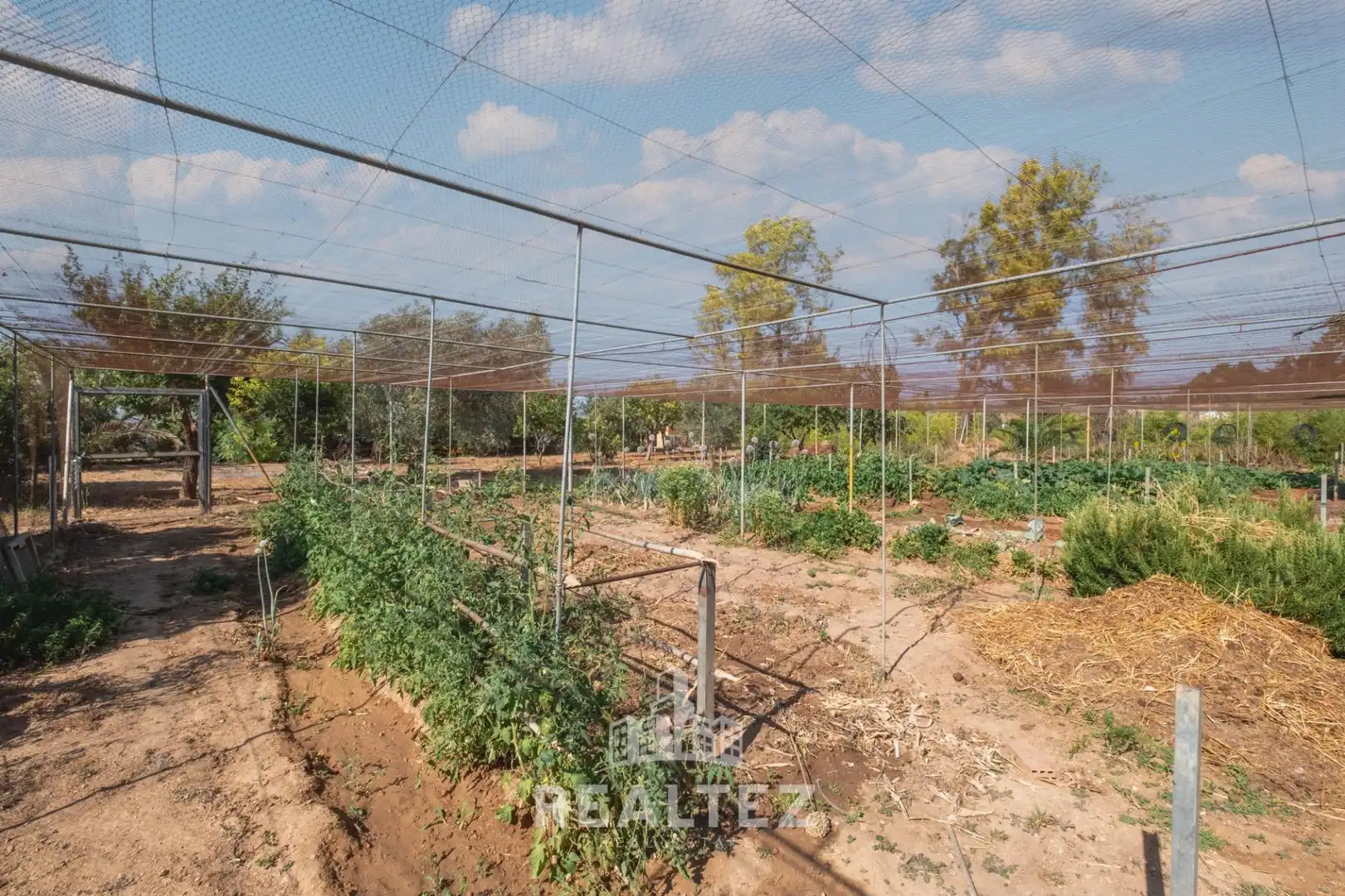 Haus mit Garten zum Verkauf in El Retiro - Parque Atlántico - Ronda este, imagen 27