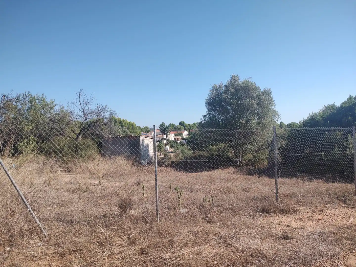 Terreno rústico en venta en Carrera Villa de Montroy, imagen 7