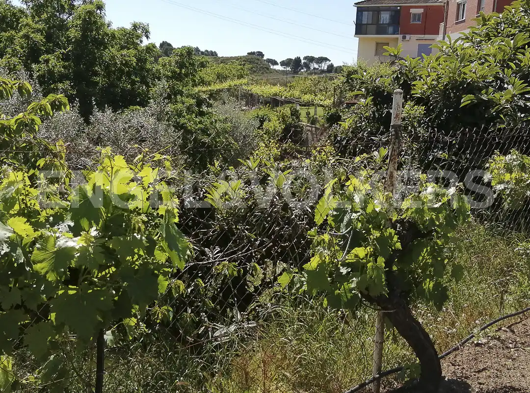 Residential land for sale in Castellbisbal, imagen 32