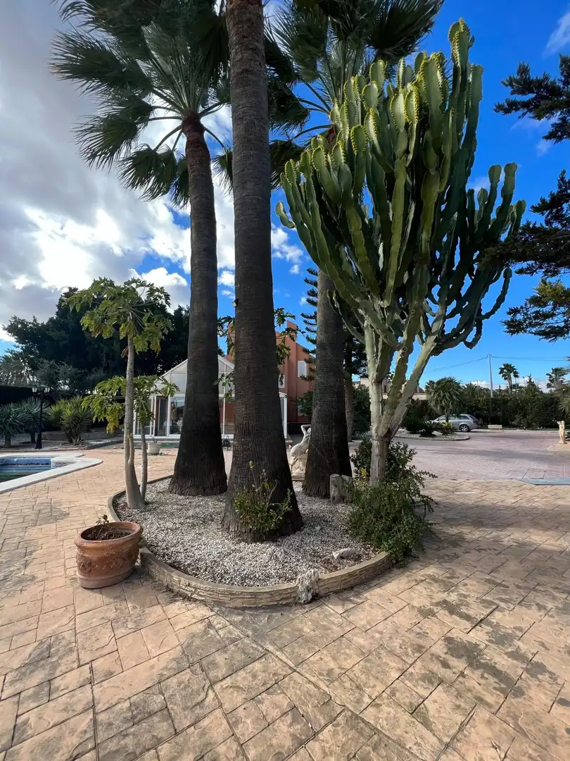 Exterior view of Houses for sale in Elche / Elx  with Heating, Terrace and Storage room