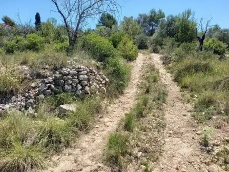 Terreny rústic en venda a Paraje El Cuartito, imagen 10