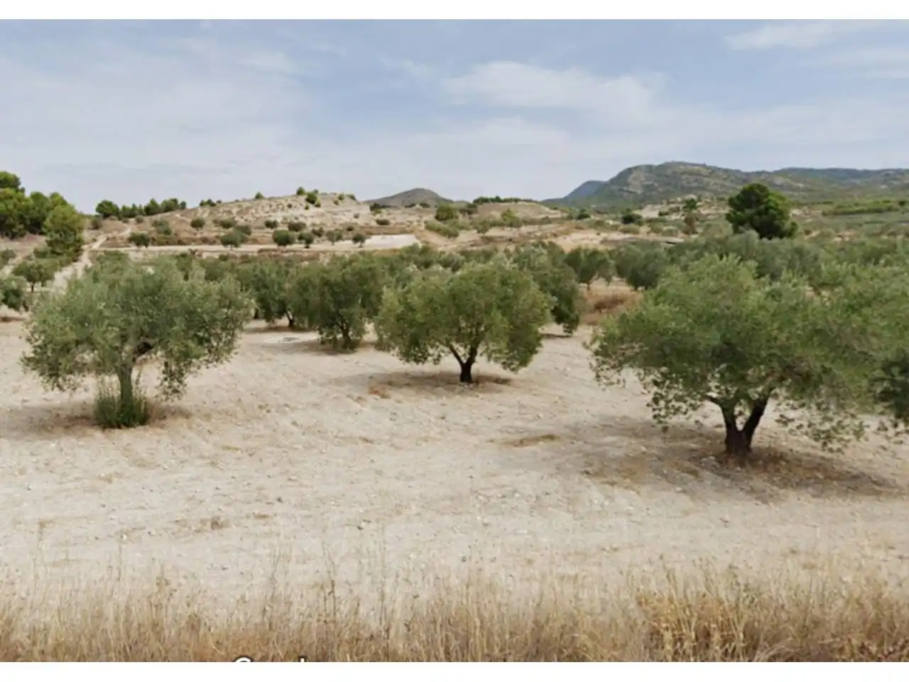 Residential land for sale in 24, imagen 2