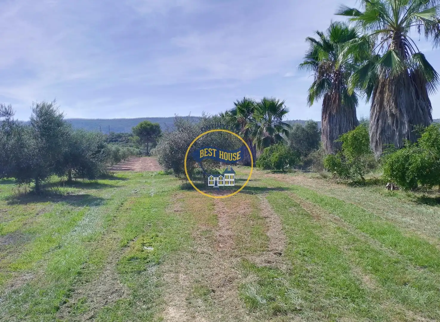 Terrenys i solars en venda a Agullent, imagen 2