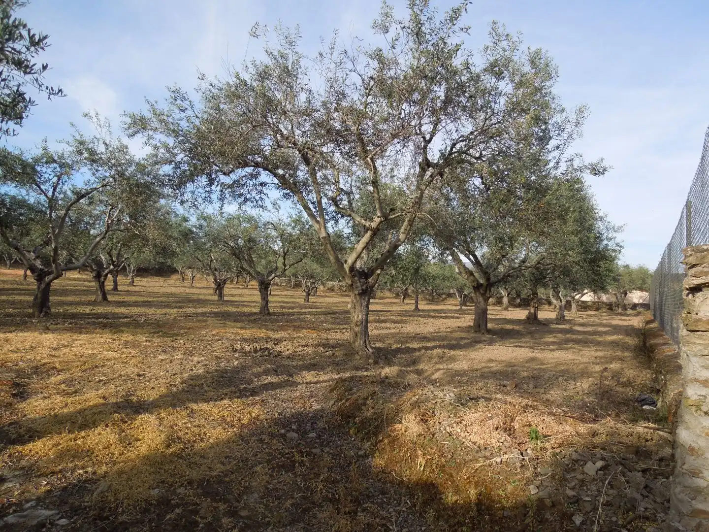 Terreno en venta en Malpartida de Plasencia